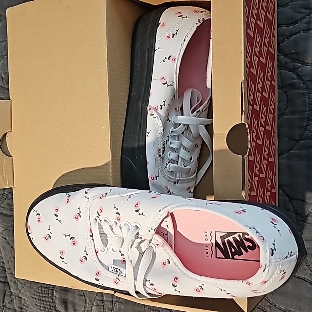 Vans 2018 Lazy Oaf Limited shoes.
